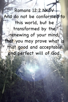 "And do not be conformed to this world, but be transformed by the renewing of your mind, that you may prove what is that good and acceptable and perfect will of God."