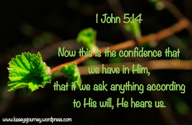 1 John 5.14